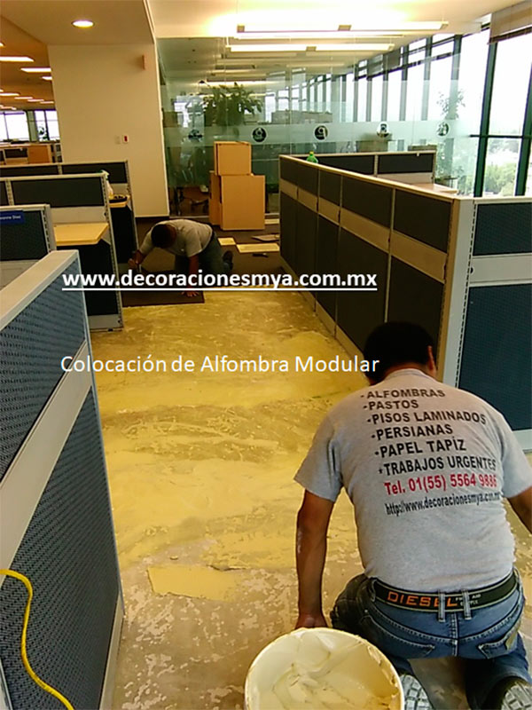 Decoraciones MYA | Extensa gama de alfombras, pisos laminados, pasto